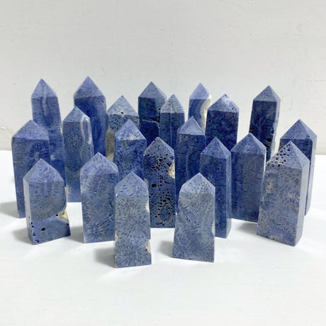 Blue Ridge Coral Heliopora Coerule Tower Point Wholesale -Wholesale Crystals