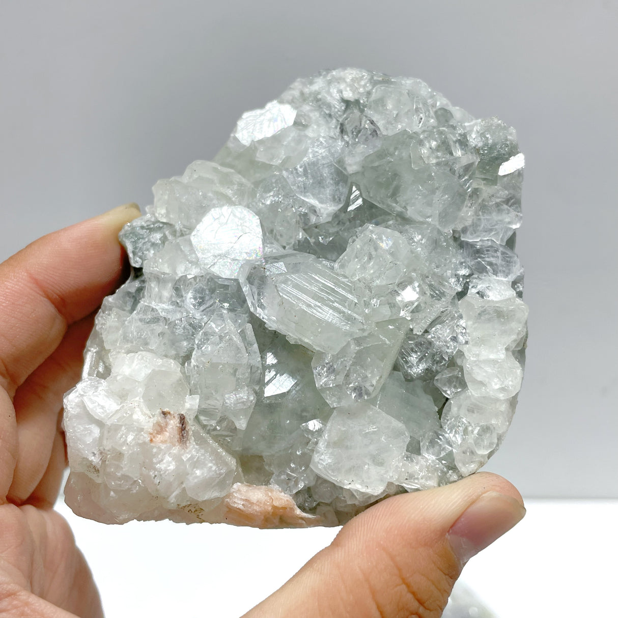 8 Pieces Raw Apophyllite Stone Specimen