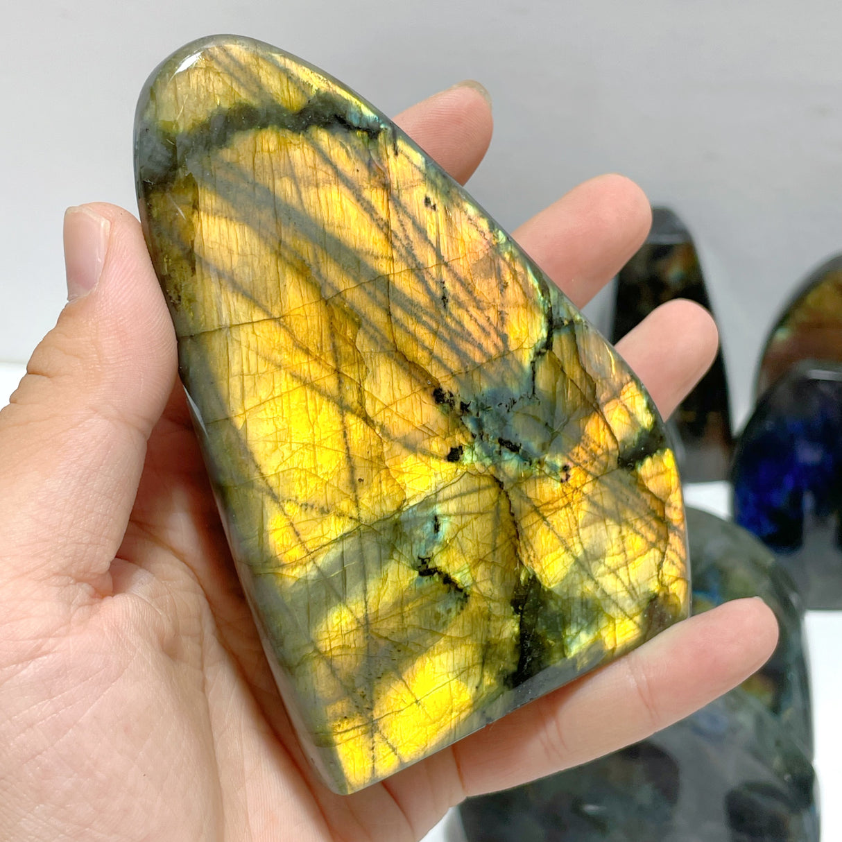 22 Pieces Beautiful High Quality Polished Labradorite Free Form