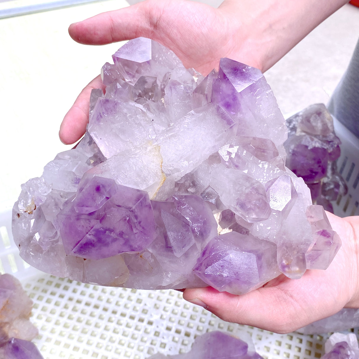 10 Pieces Raw Amethyst Cluster Polished Bottom (Sea Freight Only)