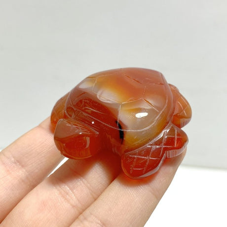 Carnelian Sea Turtle Carving Wholesale - Wholesale Crystals