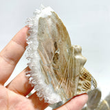 11 Pieces Clear Quartz Cluster Butterfly Fairy Carving
