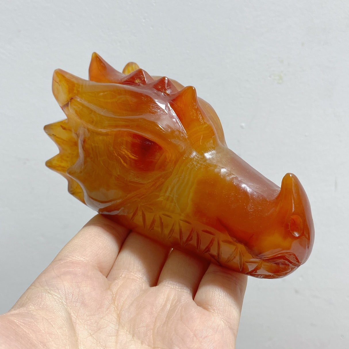8 Pieces Carnelian Dragon Head Carving