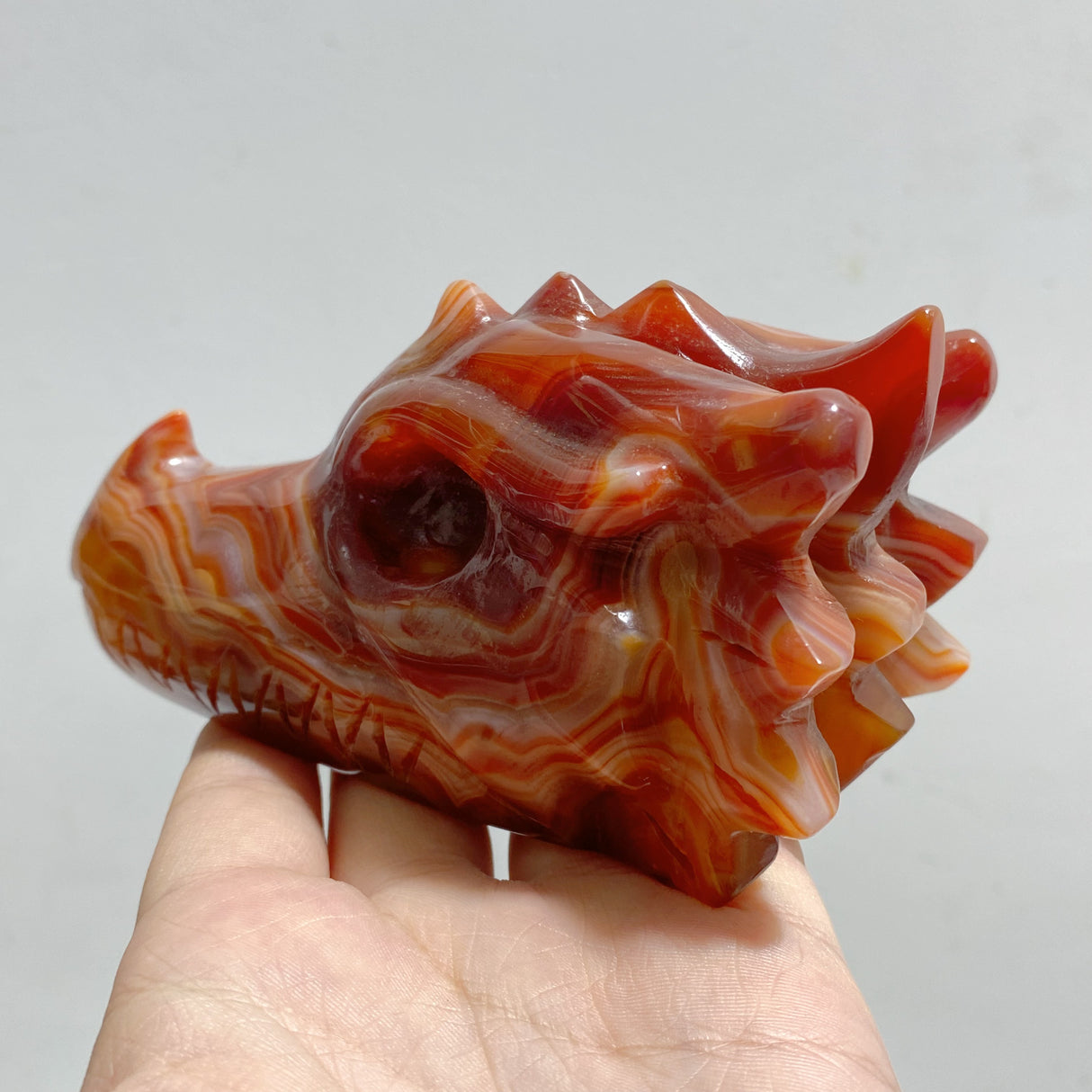 7 Pieces Carnelian Dragon Head Carving