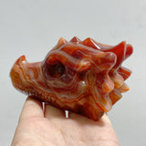 7 Pieces Carnelian Dragon Head Carving