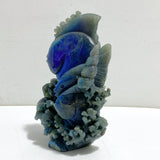 Unique Labradorite Sea Animal Carving (Defect)