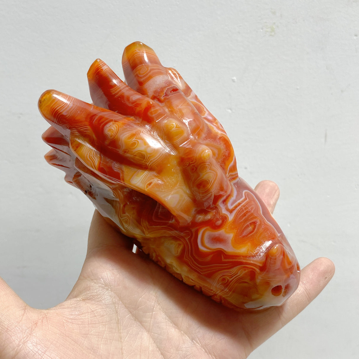 8 Pieces Carnelian Dragon Head Carving