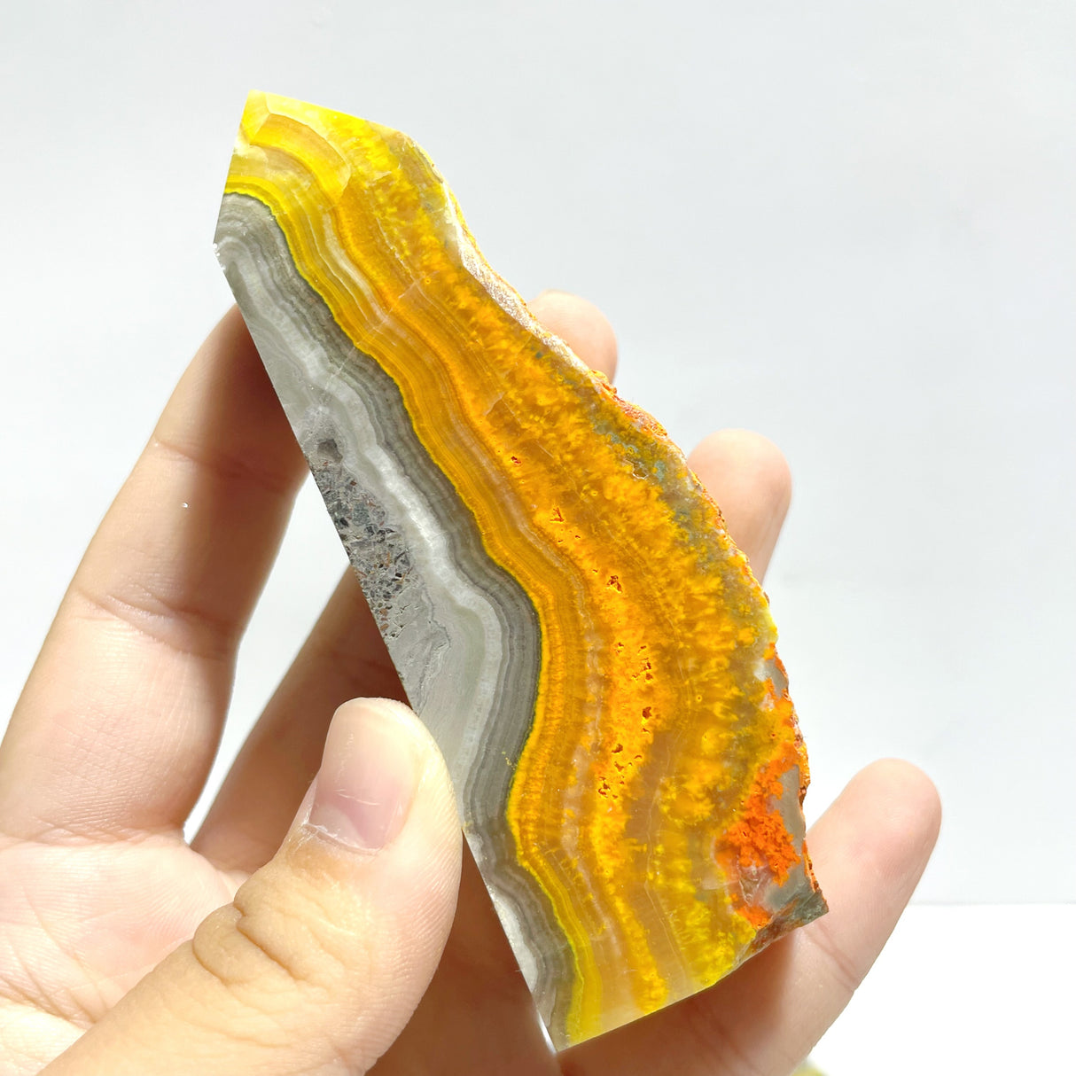 22 Pieces Deep Yellow Bumble Bee Jasper Raw Side Point