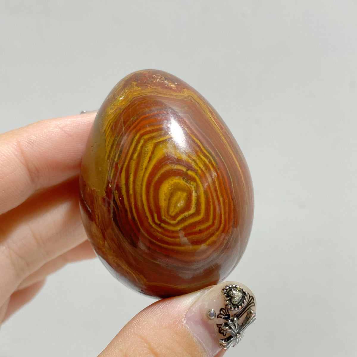 Petrified Wood Stone Egg Wholesale