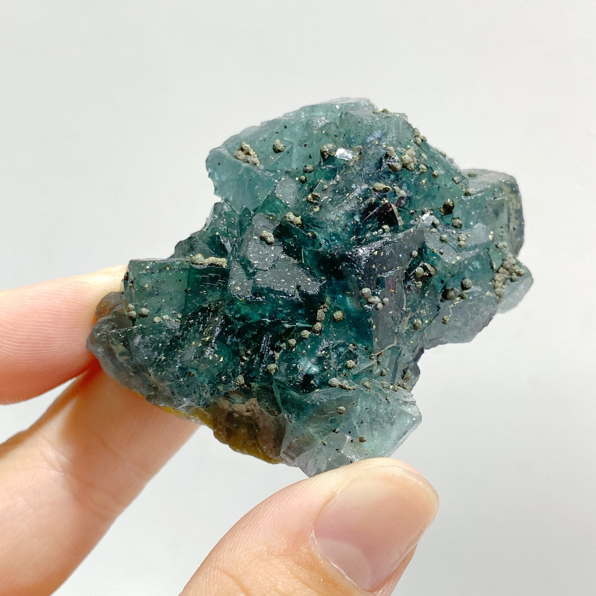 17 Pieces Blue Fluorite Mixed Pyrite Raw Stone