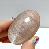 High Quality Sunstone Palm Wholesale