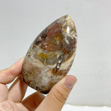 15 Pieces Petrified Wood Stone Arrow Head Shape