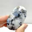 India Moonstone Palm Wholesale - Wholesale Crystals