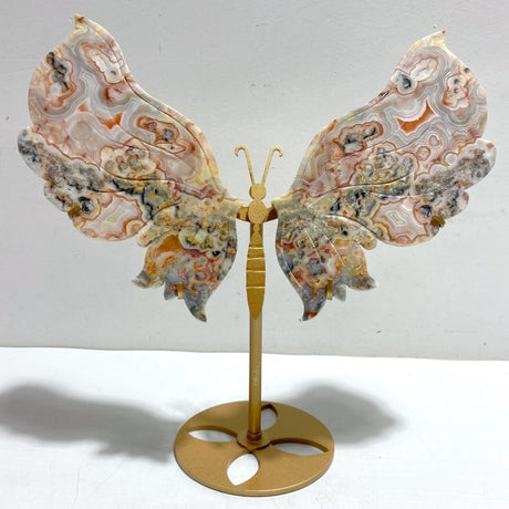 Morocco Agate Butterfly Wing Carving With Stand - Wholesale Crystals