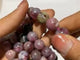 5 Pieces 12mm High Quality Unicorn Stone Bracelets -Wholesale Crystals