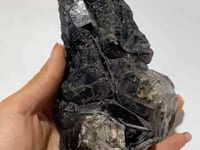 White Dry Quicksand Moving Bubble Enhydro Smoky Quartz Backbone Raw Quartz