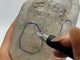 A58 Large Moving Bubble Black Quicksand Enhydro Quartz
