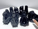 Dinosaur Skull Carving Wholesale Obsidian Larvikite