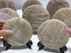 8 Pieces Blue Moonstone Round Plate Home Decoration With Plastic Base