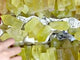 Citrine Cupcake Shape Points Wholesale