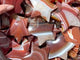 Carnelian Stripe Agate Mixed Quartz Star Wholesale