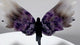 Chevron Amethyst Angel Wing Carving With Stand