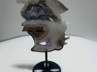Beautiful Agate Dragon Geode Carving Wing With Stand