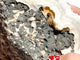 Large Flash Apophyllite Crystal Specimen For Collection