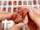 Beautiful Carnelian Elephant Carving Wholesale