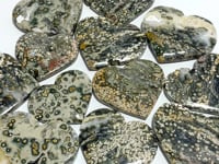 13 Pieces Large 8th Vein Ocean Jasper Heart #3