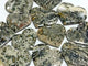 13 Pieces Large 8th Vein Ocean Jasper Heart #3