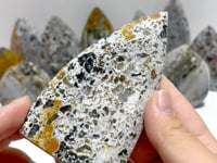 13 Pieces Ocean Jasper Arrow Head Shape Home Decor