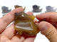 10 pieces Small Geode Agate Druzy Dolphin Carving