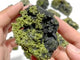 15 Pieces Raw Green Tourmaline Specimen For Collection