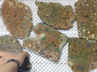 6 Pieces Peacock Eye Rain Forest Jasper Slab