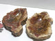 2 Pieces Large Petrified Wood Bowl