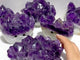 6 Pieces Polished Large Amethyst Teeth Cluster Groot Carving