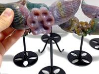 6 Pairs Ocean Jasper Cat Paw Wing Carving With Stand