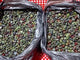 Dragon Blood Stone Gravel Chip Wholesale