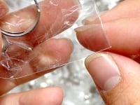 Natural Ammonite Fossil Conch Ring Wholesale