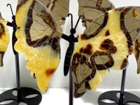 3 Pairs Septarian Butterfly Wing Carving With Stand #3