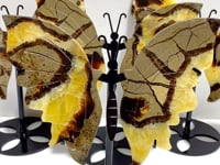4 Pairs Septarian Butterfly Wing Carving With Stand #2