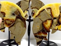 3 Pairs Septarian Butterfly Wing Carving With Stand #1