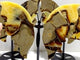 3 Pairs Septarian Butterfly Wing Carving With Stand #1