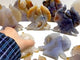 12 Pieces Geode Agate Druzy Angel Carving