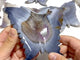 7 Pieces Geode Druzy Agate Butterfly Carving