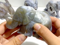 Beautiful Geode Agate Druzy Elephant Animal Carving