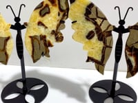 2 Pairs Septarian Butterfly Wing Carving With Stand #3