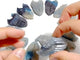 12 Pieces Trolleite Stone Wing Shield Carving Closeout