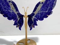 Unique Blue Sodalite Butterfly Wing Carving With Stand